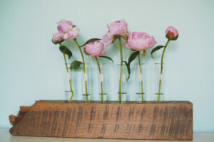 Ý tưởng tái chế khung ảnh cũ